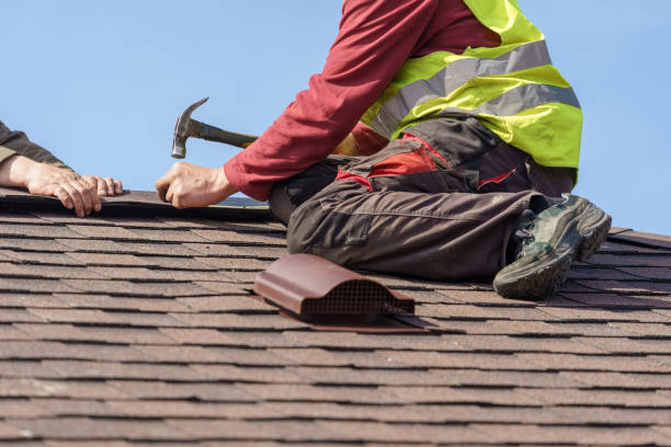 Best Roof Inspection Near Me  in Los Fresnos, TX