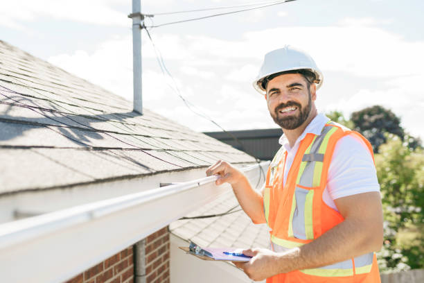 Best Metal Roofing Contractor  in Los Fresnos, TX