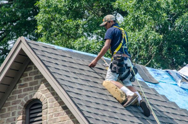 Best New Roof Installation  in Los Fresnos, TX